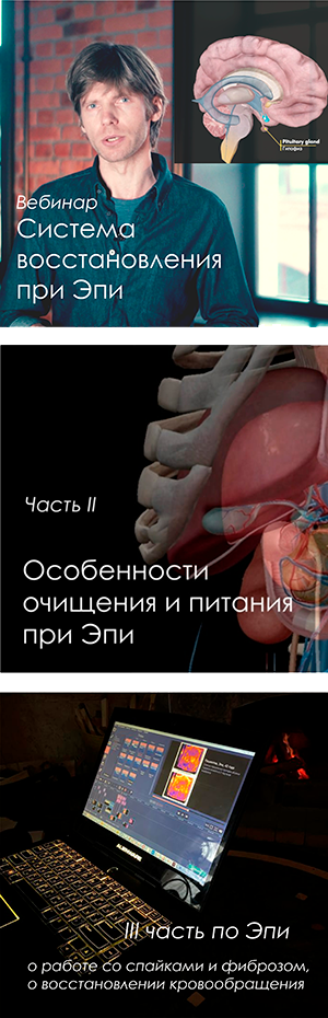 Вебинар